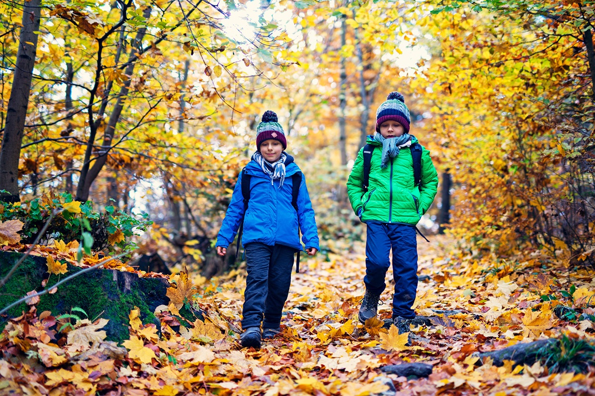 Cold Fall, Dressing, Elementary, Two Boys, Leaves
