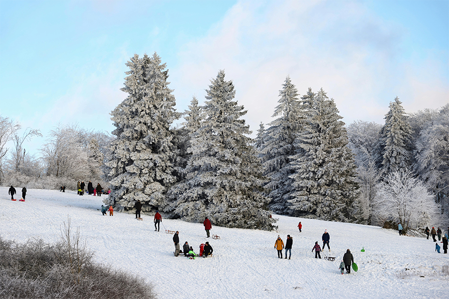 Family Day, Winter Activities, Holiday, Sledding